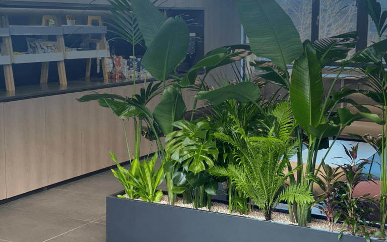 대형 플랜트박스 hover