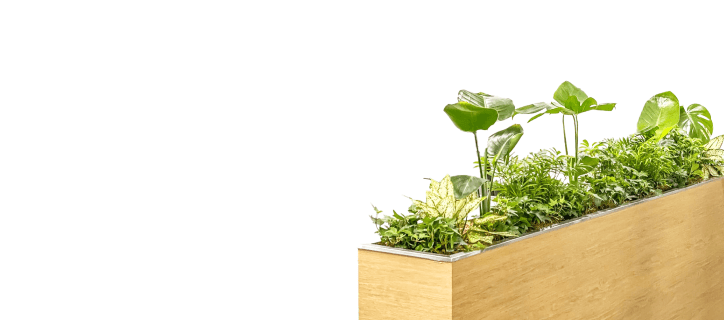 대형 플랜트박스