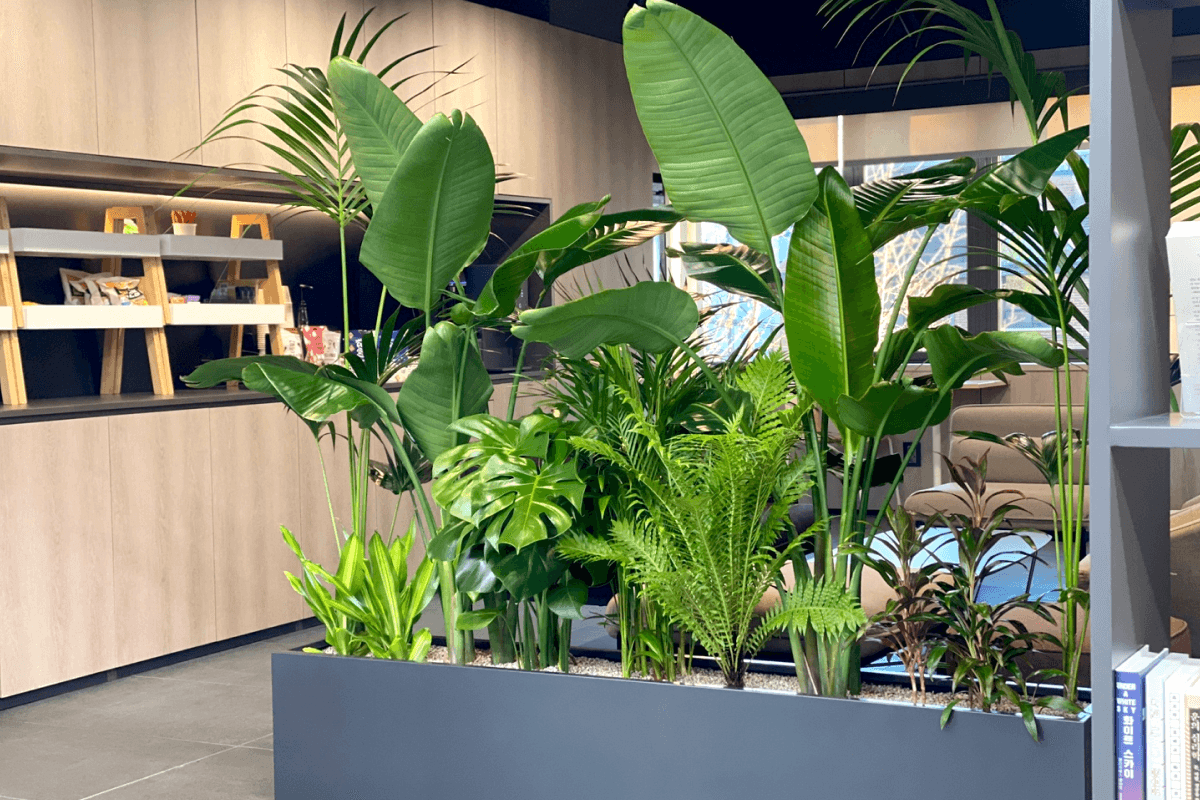 대형 플랜트박스