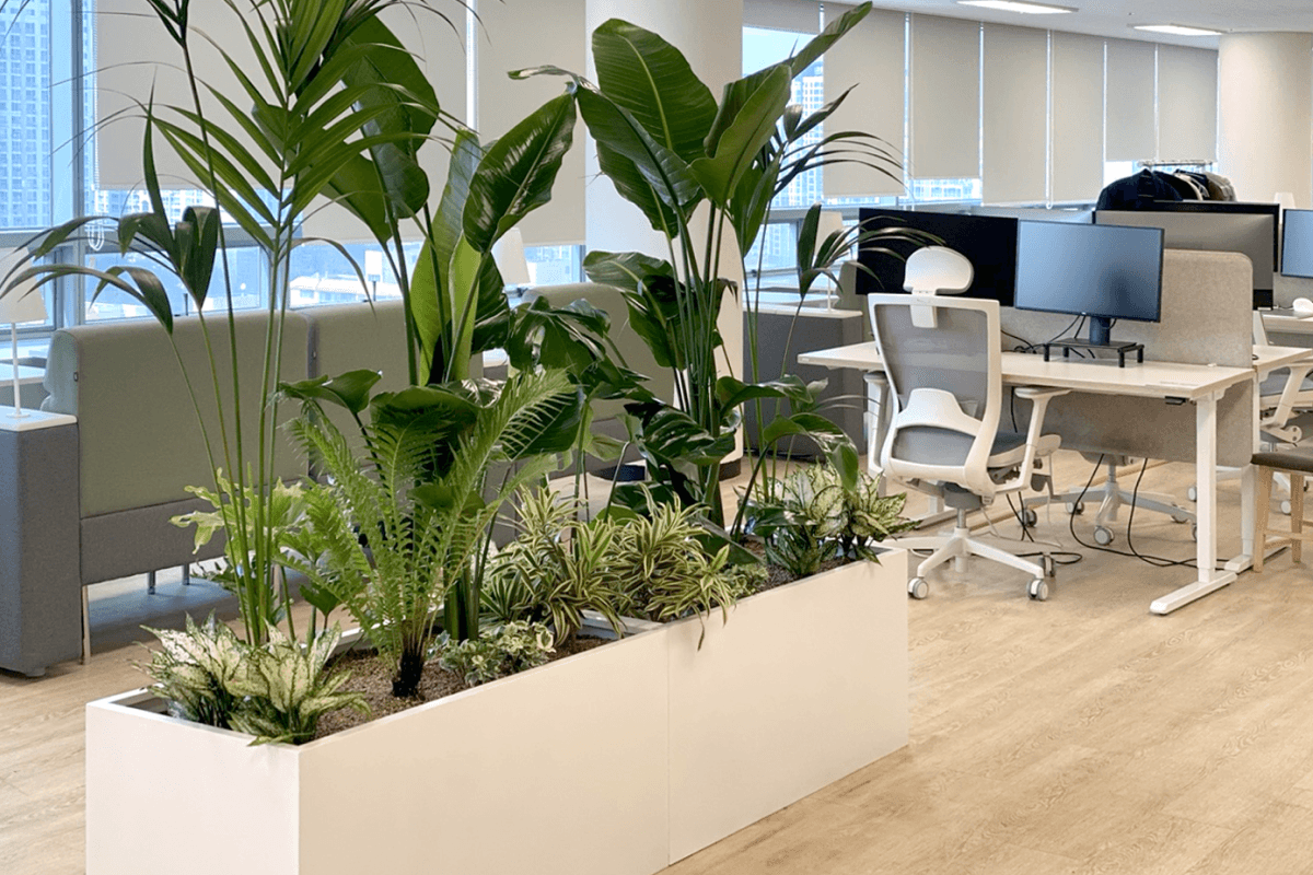 대형 플랜트박스