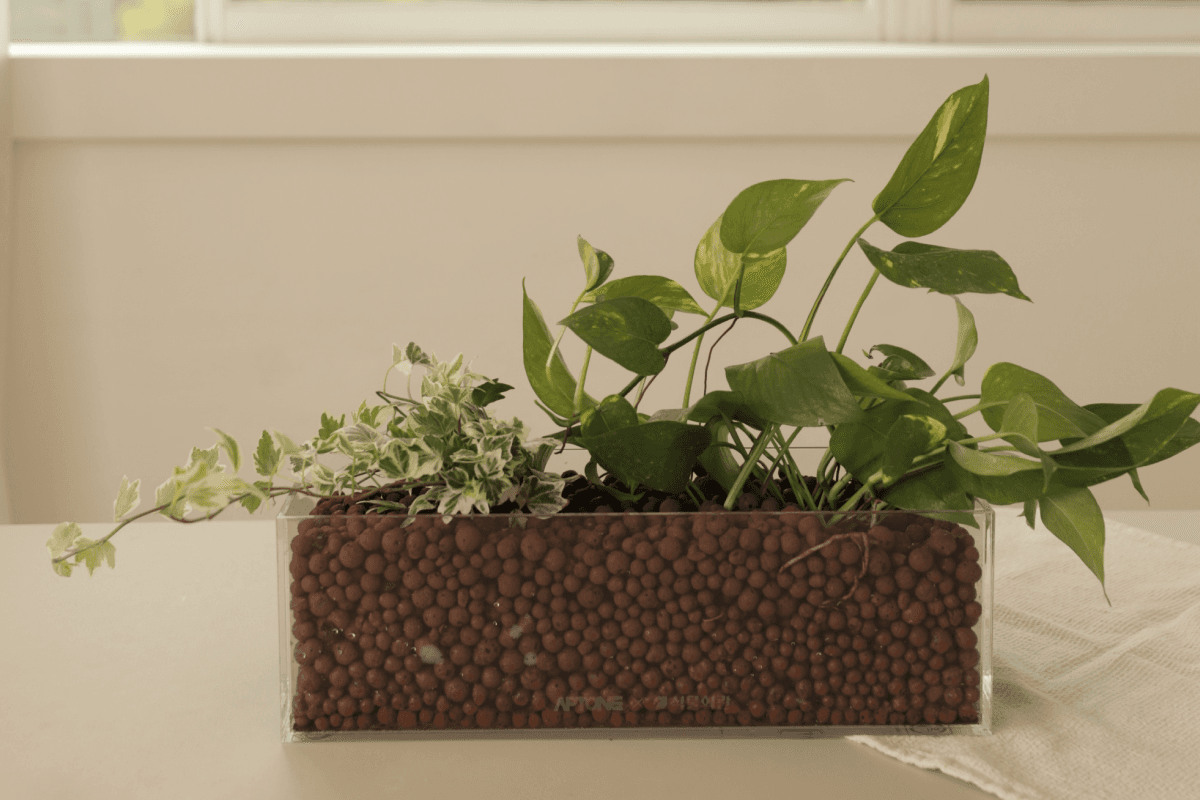 캐비넷 플랜트박스