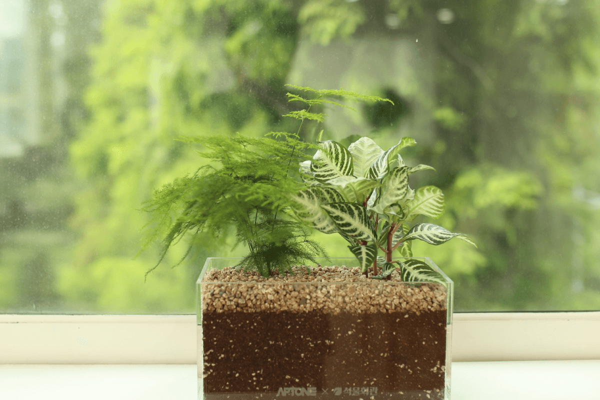 캐비넷 플랜트박스